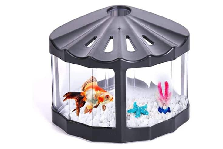 Aquarium-Betta Fischschale, Goldfisch-Set, Beta-Aquarium für Krabben, Schildkröten, Reptilien, Quallen, Garnelen, Algen, Insekten